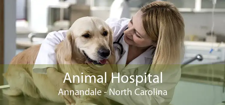 Animal Hospital Annandale - North Carolina
