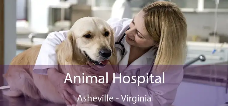 Animal Hospital Asheville - Virginia