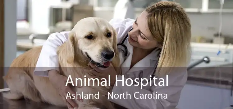 Animal Hospital Ashland - North Carolina