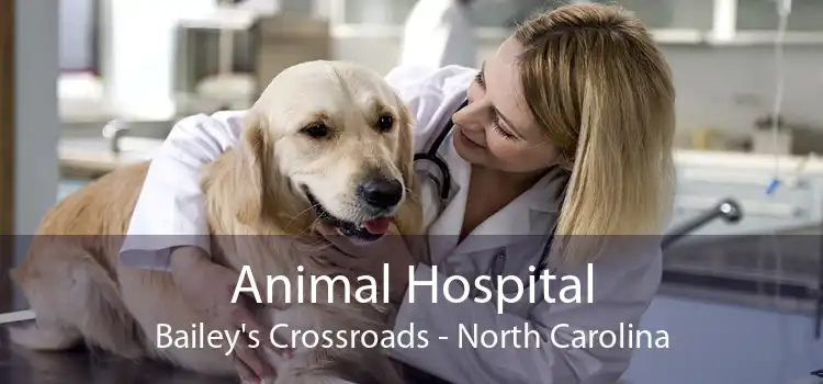Animal Hospital Bailey's Crossroads - North Carolina