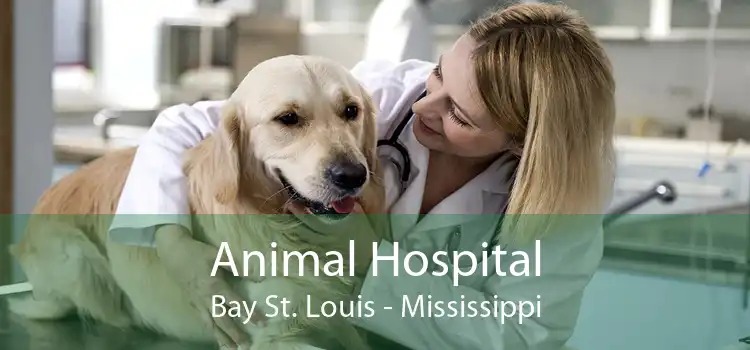 Animal Hospital Bay St. Louis - Mississippi