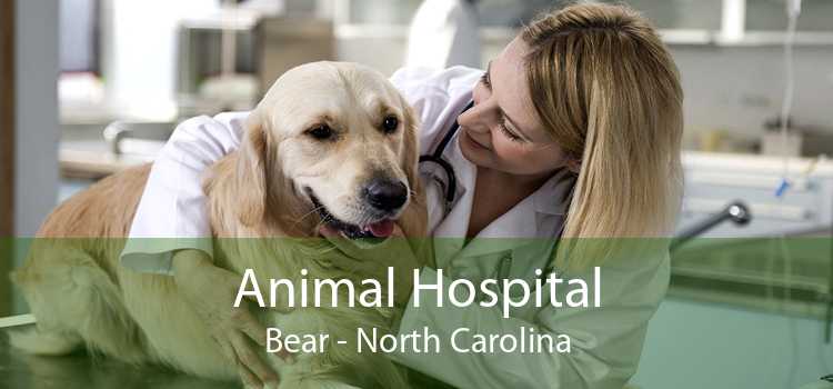 Animal Hospital Bear - North Carolina