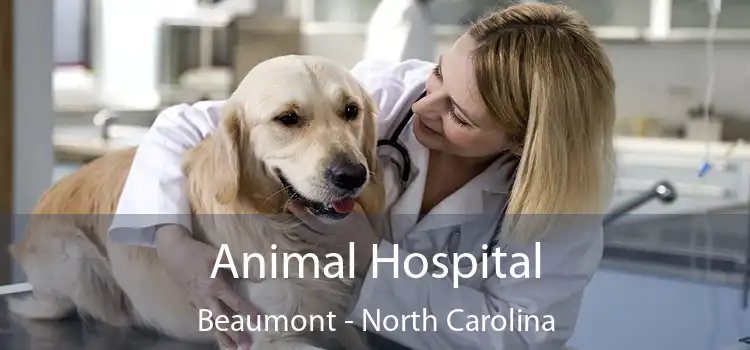 Animal Hospital Beaumont - North Carolina