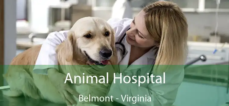 Animal Hospital Belmont - Virginia