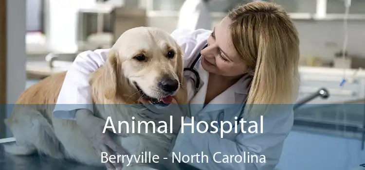 Animal Hospital Berryville - North Carolina