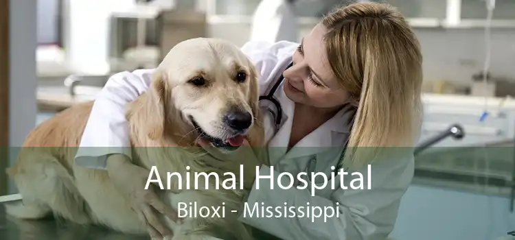 Animal Hospital Biloxi - Mississippi