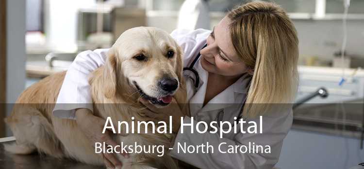 Animal Hospital Blacksburg - North Carolina