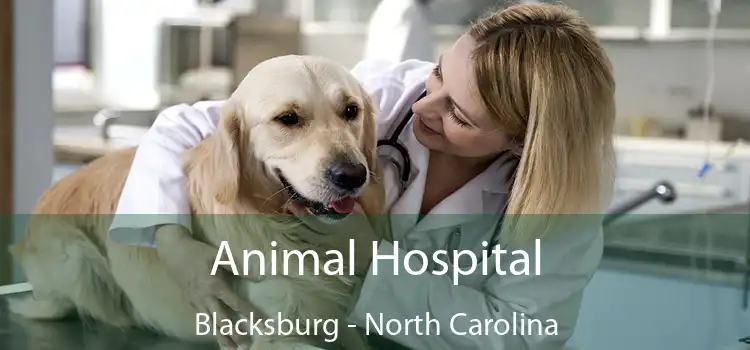 Animal Hospital Blacksburg - North Carolina