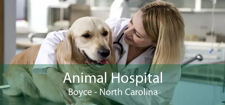 Animal Hospital Boyce - North Carolina