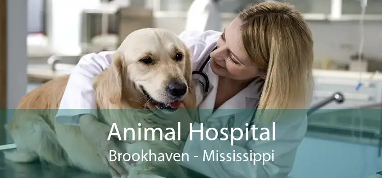 Animal Hospital Brookhaven - Mississippi