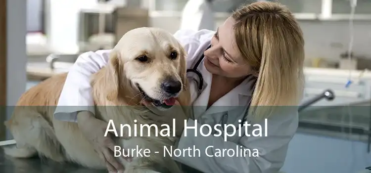 Animal Hospital Burke - North Carolina