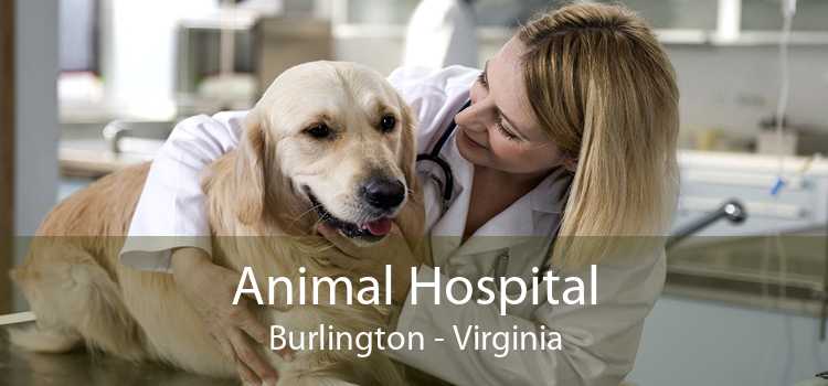 Animal Hospital Burlington - Virginia