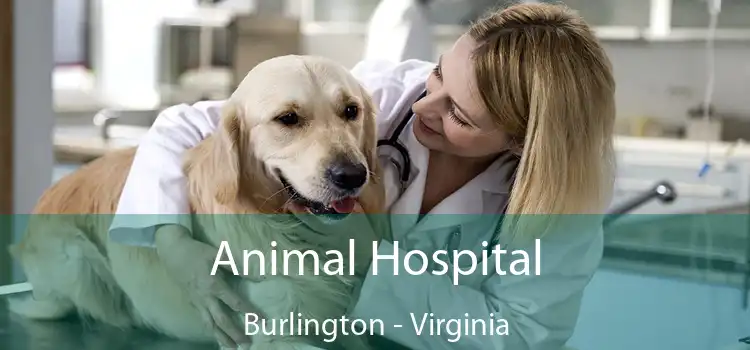 Animal Hospital Burlington - Virginia