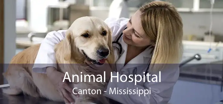 Animal Hospital Canton - Mississippi