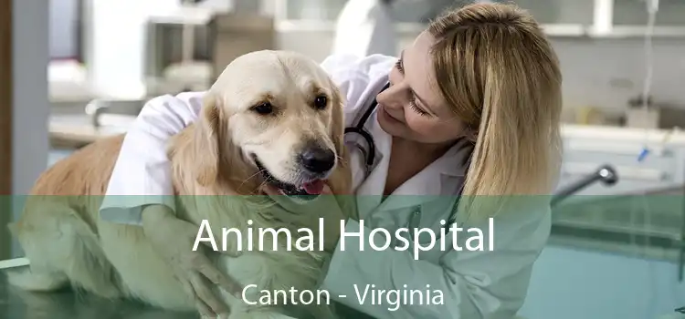 Animal Hospital Canton - Virginia