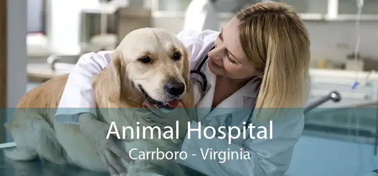 Animal Hospital Carrboro - Virginia