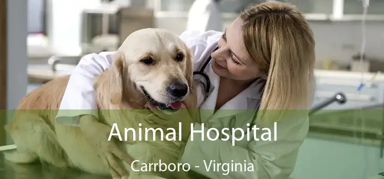 Animal Hospital Carrboro - Virginia