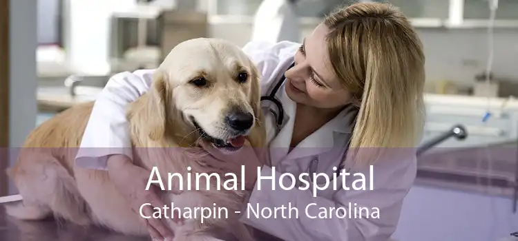 Animal Hospital Catharpin - North Carolina
