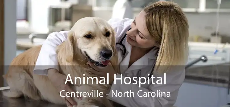 Animal Hospital Centreville - North Carolina