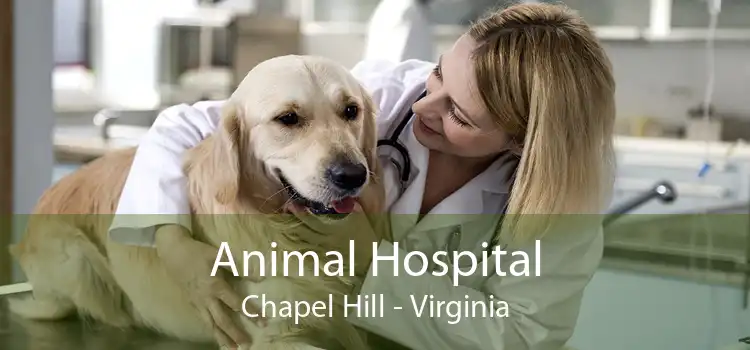 Animal Hospital Chapel Hill - Virginia