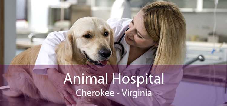 Animal Hospital Cherokee - Virginia