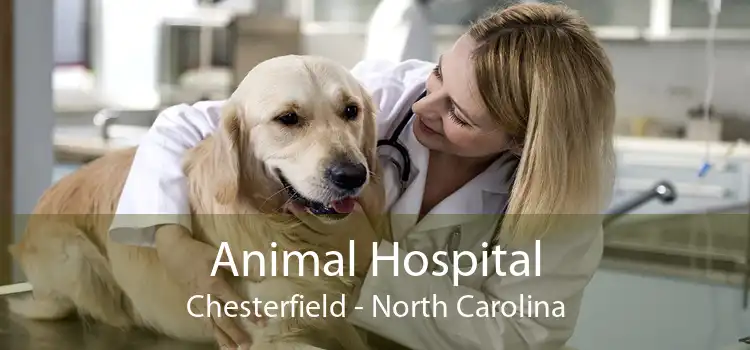 Animal Hospital Chesterfield - North Carolina
