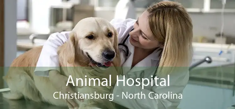 Animal Hospital Christiansburg - North Carolina