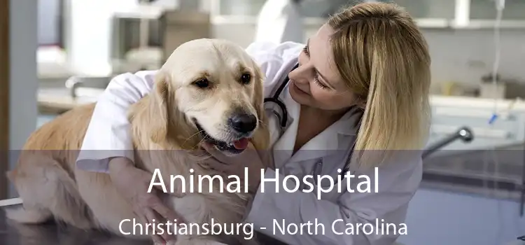 Animal Hospital Christiansburg - North Carolina