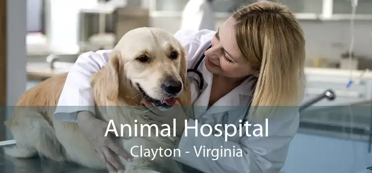 Animal Hospital Clayton - Virginia