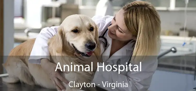 Animal Hospital Clayton - Virginia