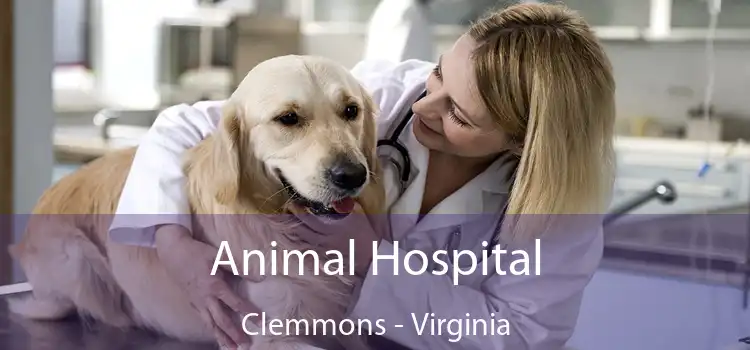 Animal Hospital Clemmons - Virginia