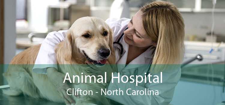 Animal Hospital Clifton - North Carolina