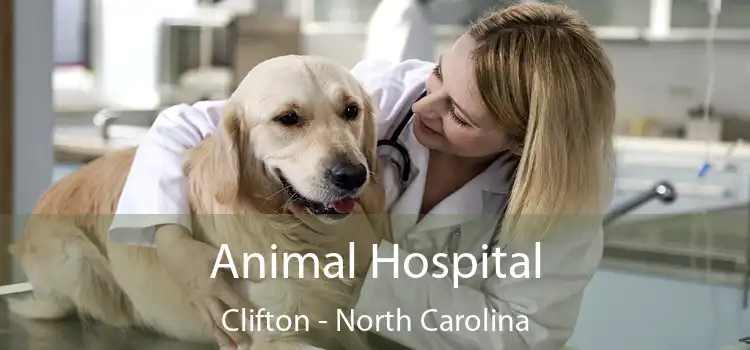 Animal Hospital Clifton - North Carolina