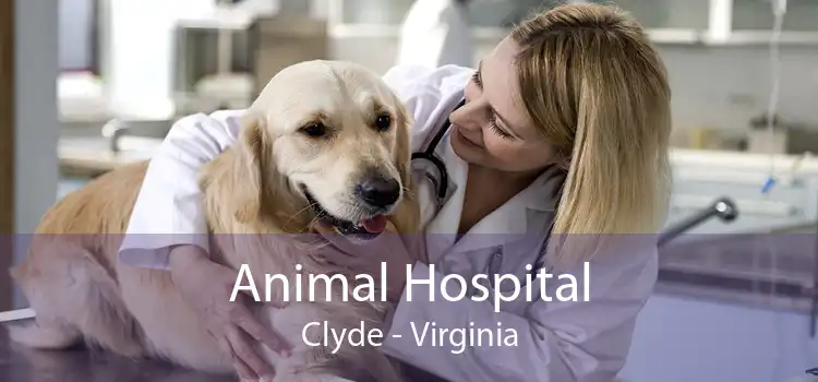Animal Hospital Clyde - Virginia