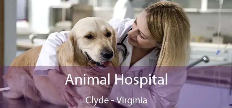 Animal Hospital Clyde - Virginia