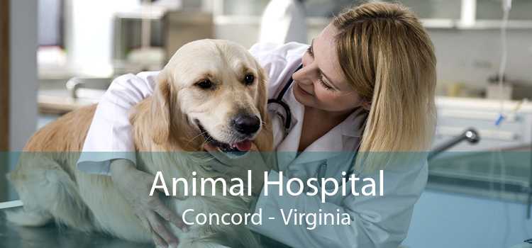 Animal Hospital Concord - Virginia