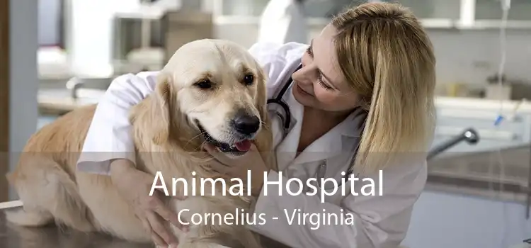 Animal Hospital Cornelius - Virginia