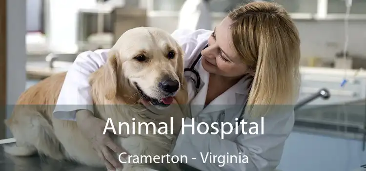 Animal Hospital Cramerton - Virginia