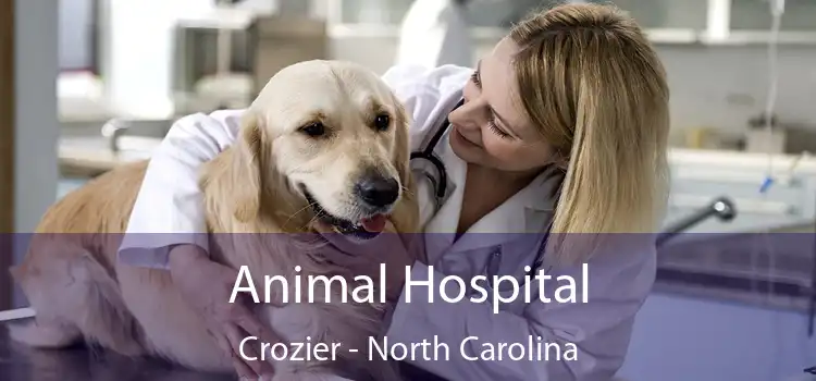 Animal Hospital Crozier - North Carolina