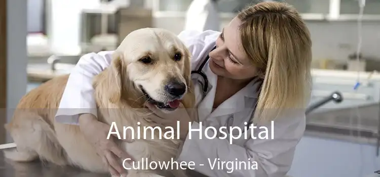 Animal Hospital Cullowhee - Virginia