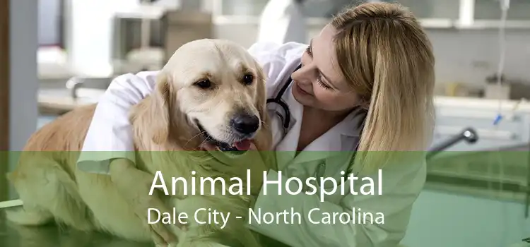 Animal Hospital Dale City - North Carolina