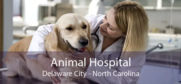 Animal Hospital Delaware City - North Carolina