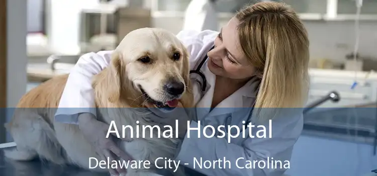 Animal Hospital Delaware City - North Carolina