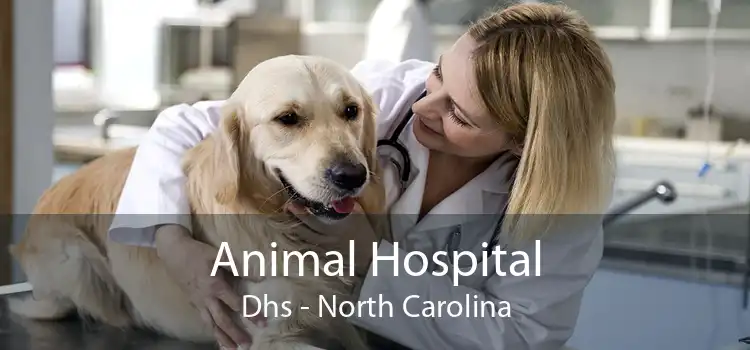 Animal Hospital Dhs - North Carolina