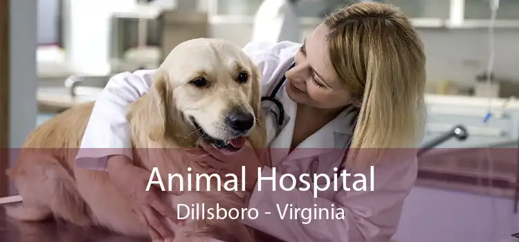 Animal Hospital Dillsboro - Virginia