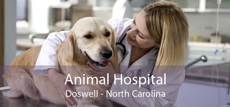 Animal Hospital Doswell - North Carolina