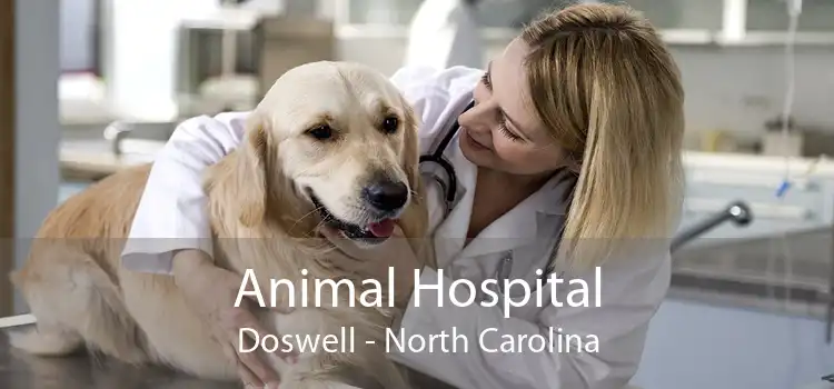 Animal Hospital Doswell - North Carolina