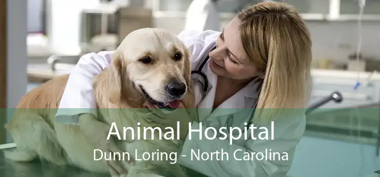 Animal Hospital Dunn Loring - North Carolina