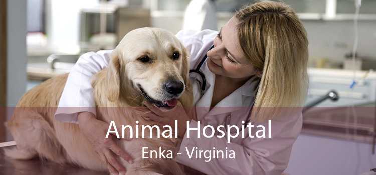 Animal Hospital Enka - Virginia