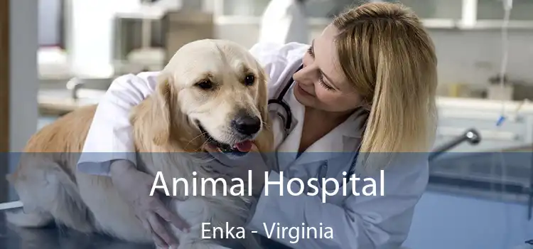 Animal Hospital Enka - Virginia